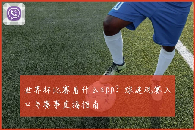 世界杯比赛看什么app?球迷观赛入口与赛事直播指南