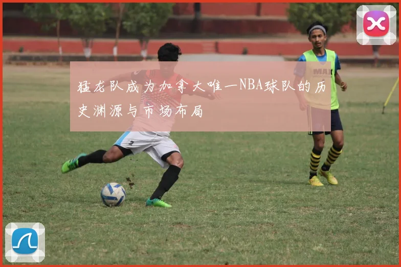 猛龙队成为加拿大唯一NBA球队的历史渊源与市场布局