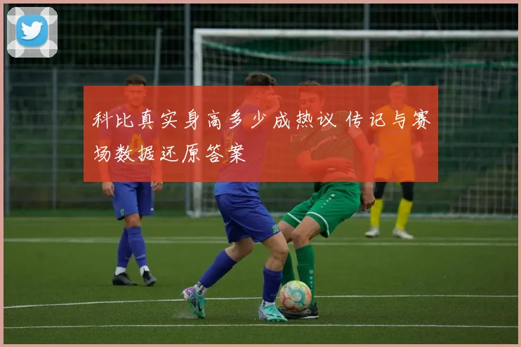 科比真实身高多少成热议 传记与赛场数据还原答案