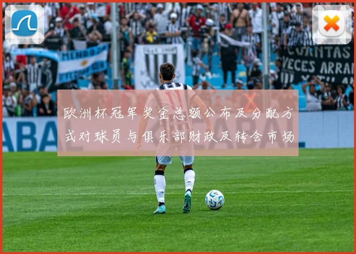 欧洲杯冠军奖金总额公布及分配方式对球员与俱乐部财政及转会市场影响