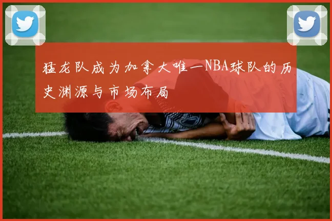 猛龙队成为加拿大唯一NBA球队的历史渊源与市场布局