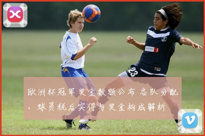 欧洲杯冠军奖金数额公布 各队分配、球员税后实得与奖金构成解析