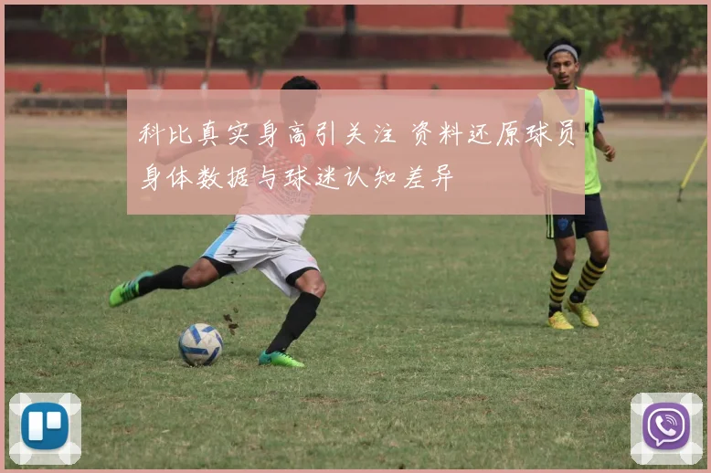 科比真实身高引关注 资料还原球员身体数据与球迷认知差异