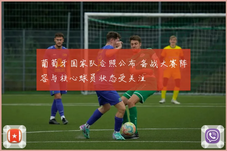 葡萄牙国家队合照公布 备战大赛阵容与核心球员状态受关注